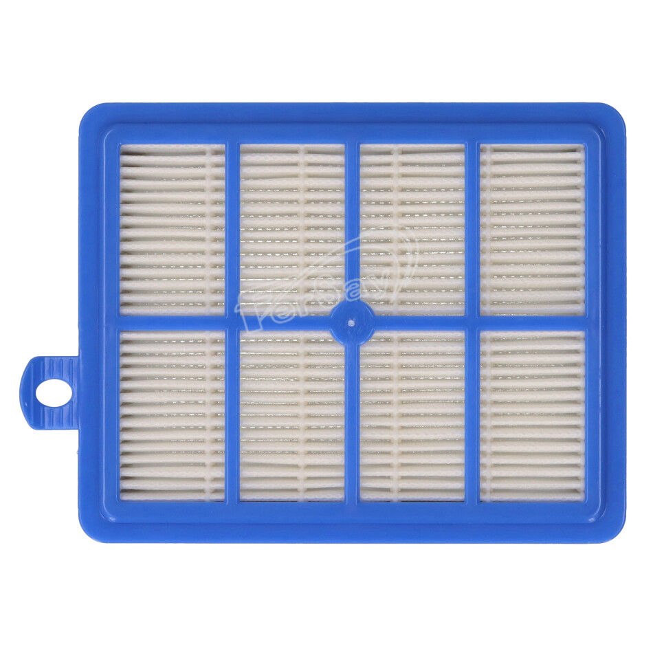 Filtro hepa EFW12W - 1 micro filter - 49OP5018 - ELECTROLUX - Cenital 1
